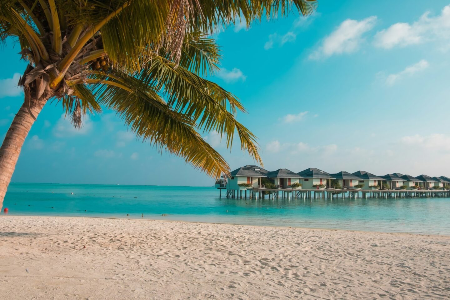 Sandy beach in the Maldives