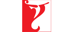 Y Shapes logo